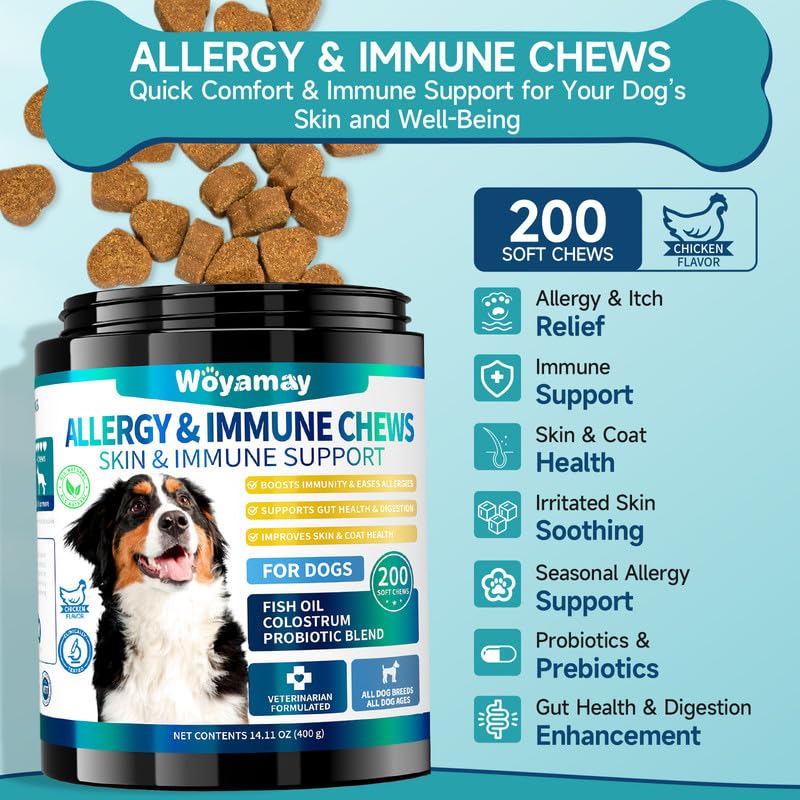 Woyamay – chien heureux avec gommes, utilisation simple.