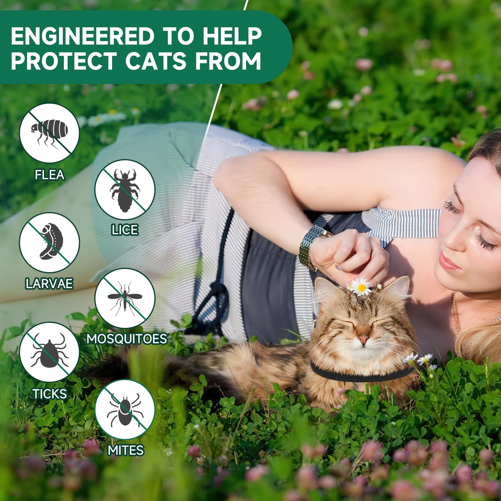 Collier Woyamay pour chats, protection jusqu’à huit mois par collier.