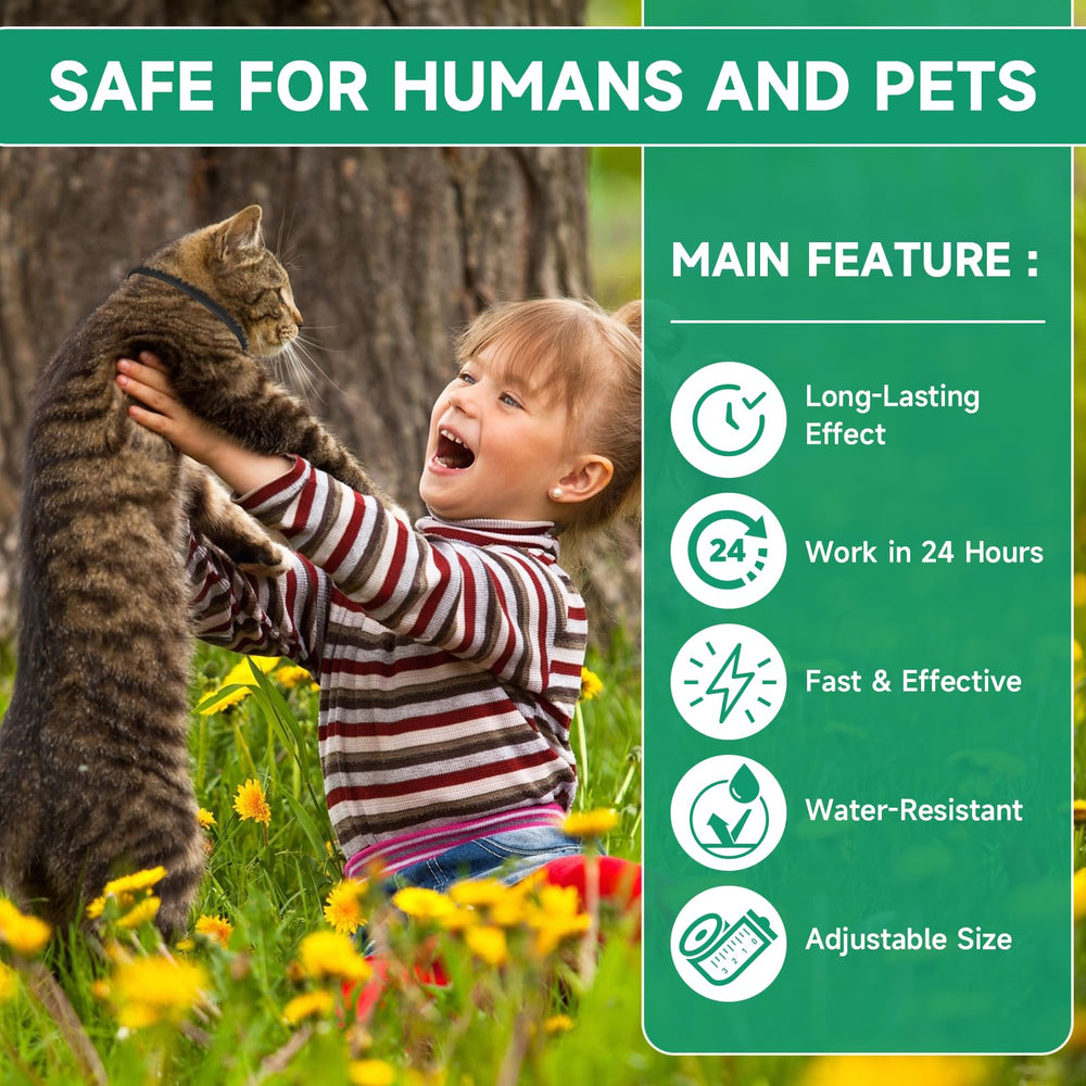 Collier Woyamay pour chats, étanche et durable pour l’aventure.