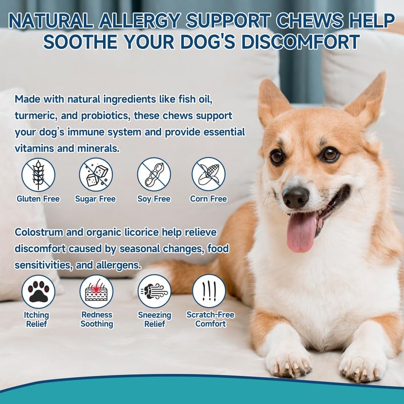 Woyamay – friandises allergie chien, conviennent pour chiens sensibles.