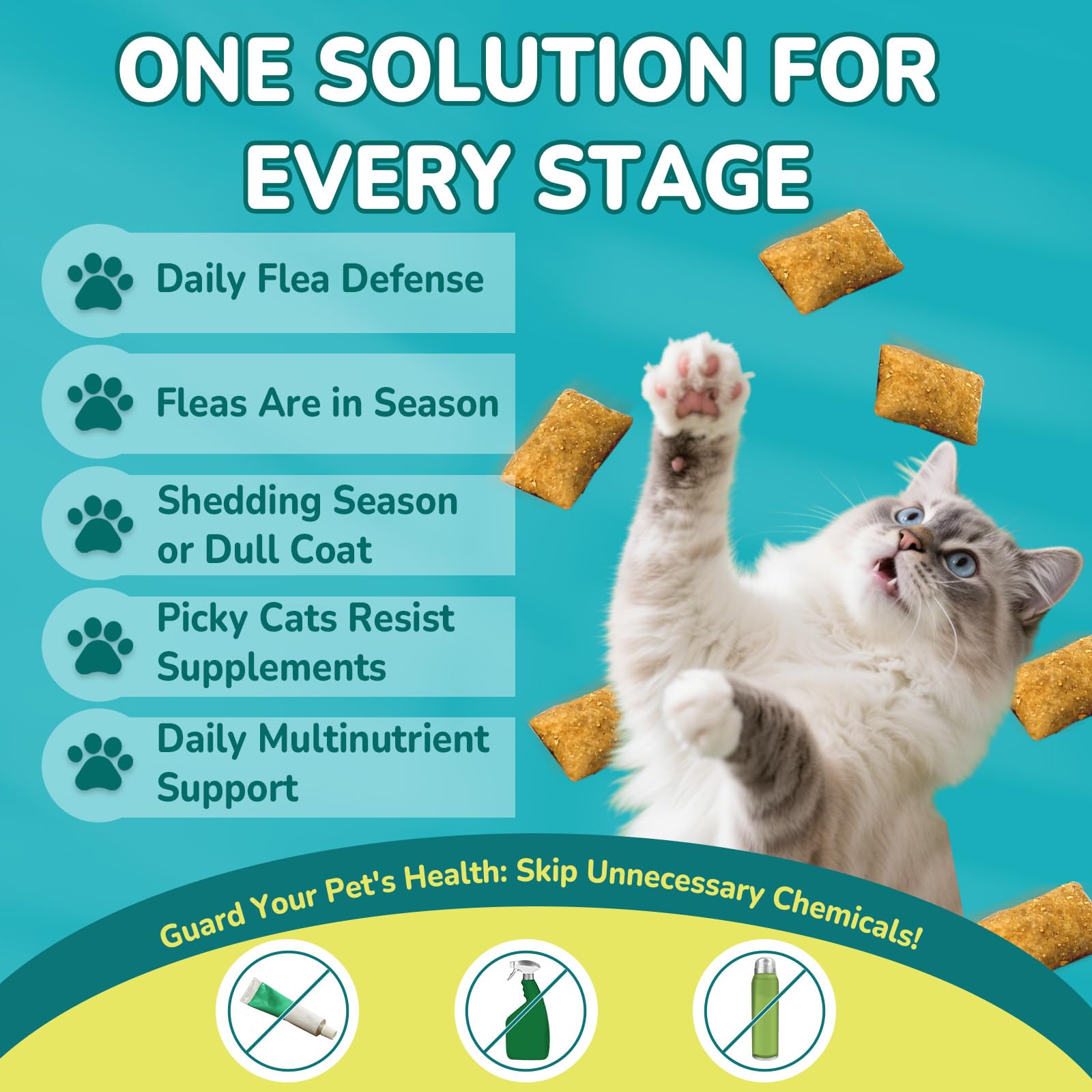 Goût poulet-fromage apprécié: satisfaction du chat lors de l’alimentation.