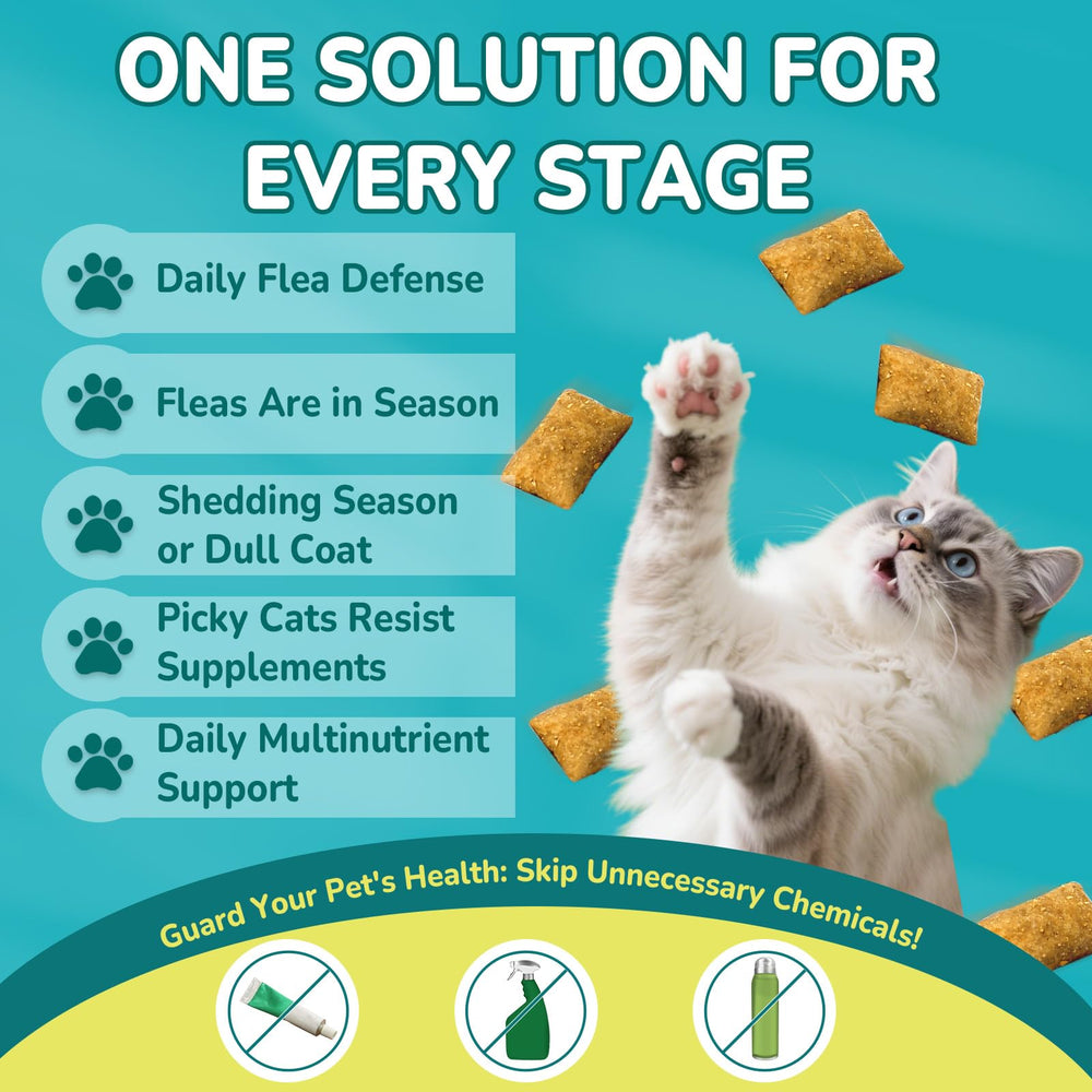 Goût poulet-fromage apprécié: satisfaction du chat lors de l’alimentation.