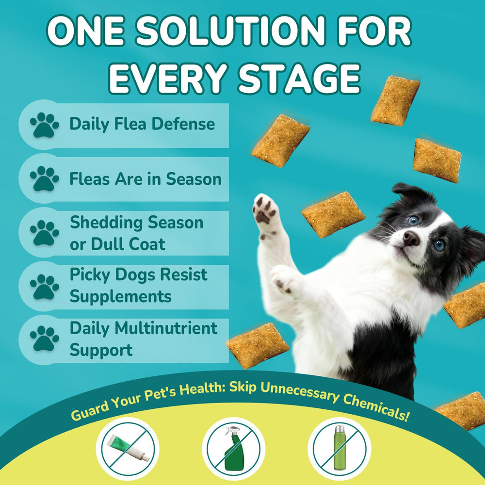 Soutien immunitaire potentiel avec Woyamay pour chiens actifs.