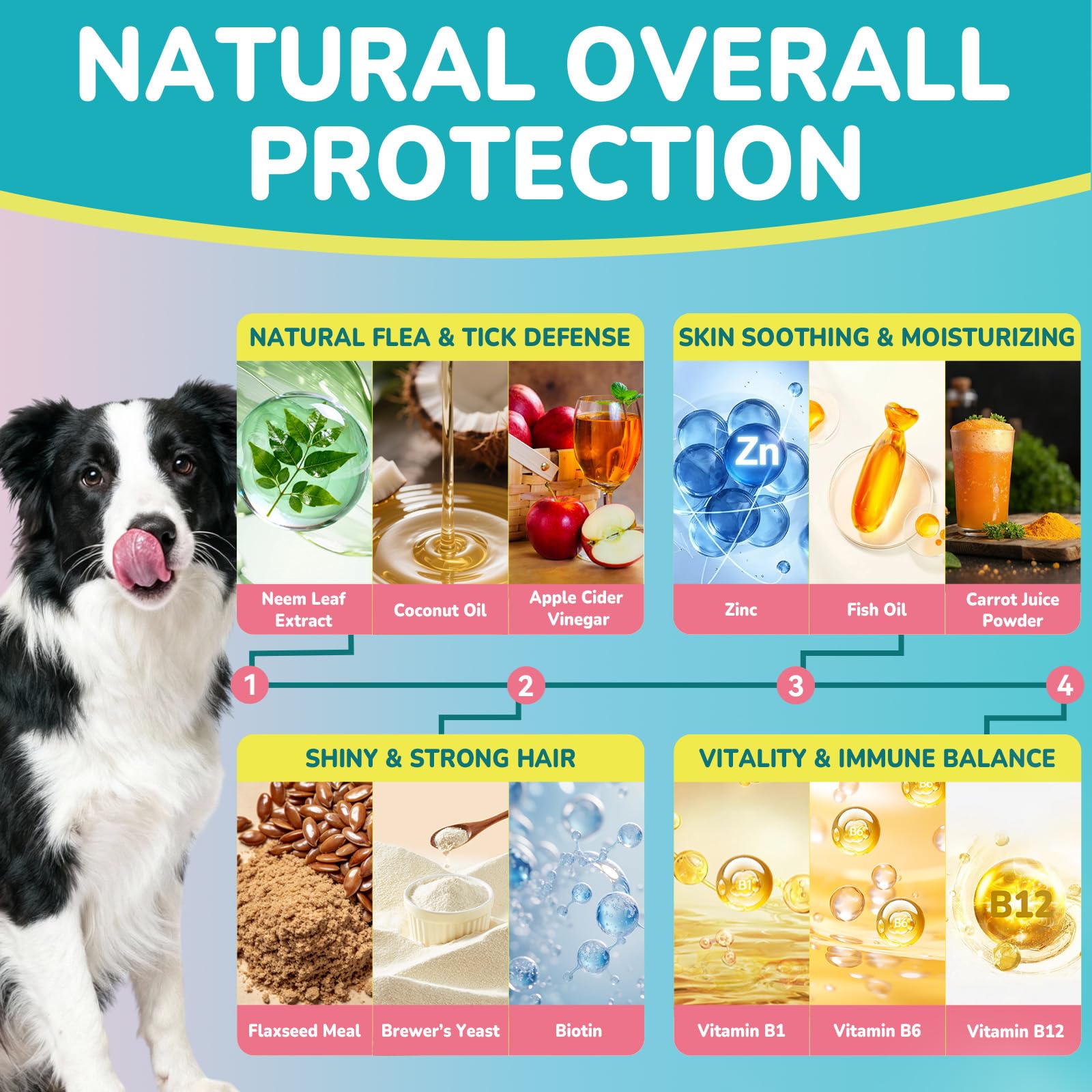 Woyamay ingrédients naturels (neem, coco) pour peau saine et pelage éclatant.