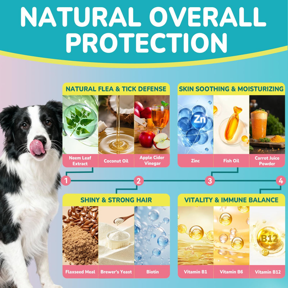 Woyamay ingrédients naturels (neem, coco) pour peau saine et pelage éclatant.