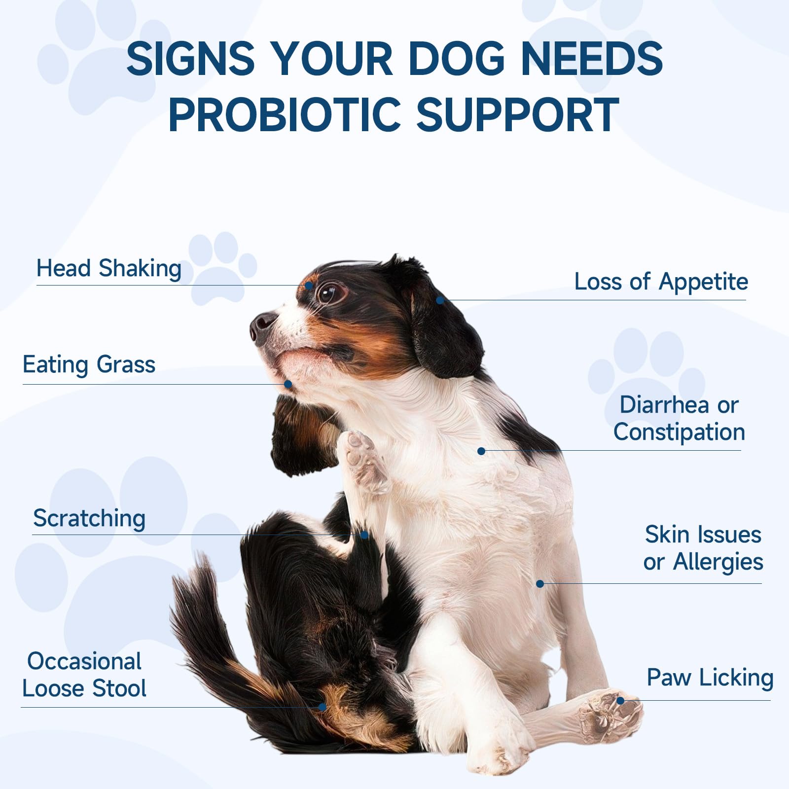 Probiotiques chien avec saveur poulet et enzymes, soutien digestif potentiel.
