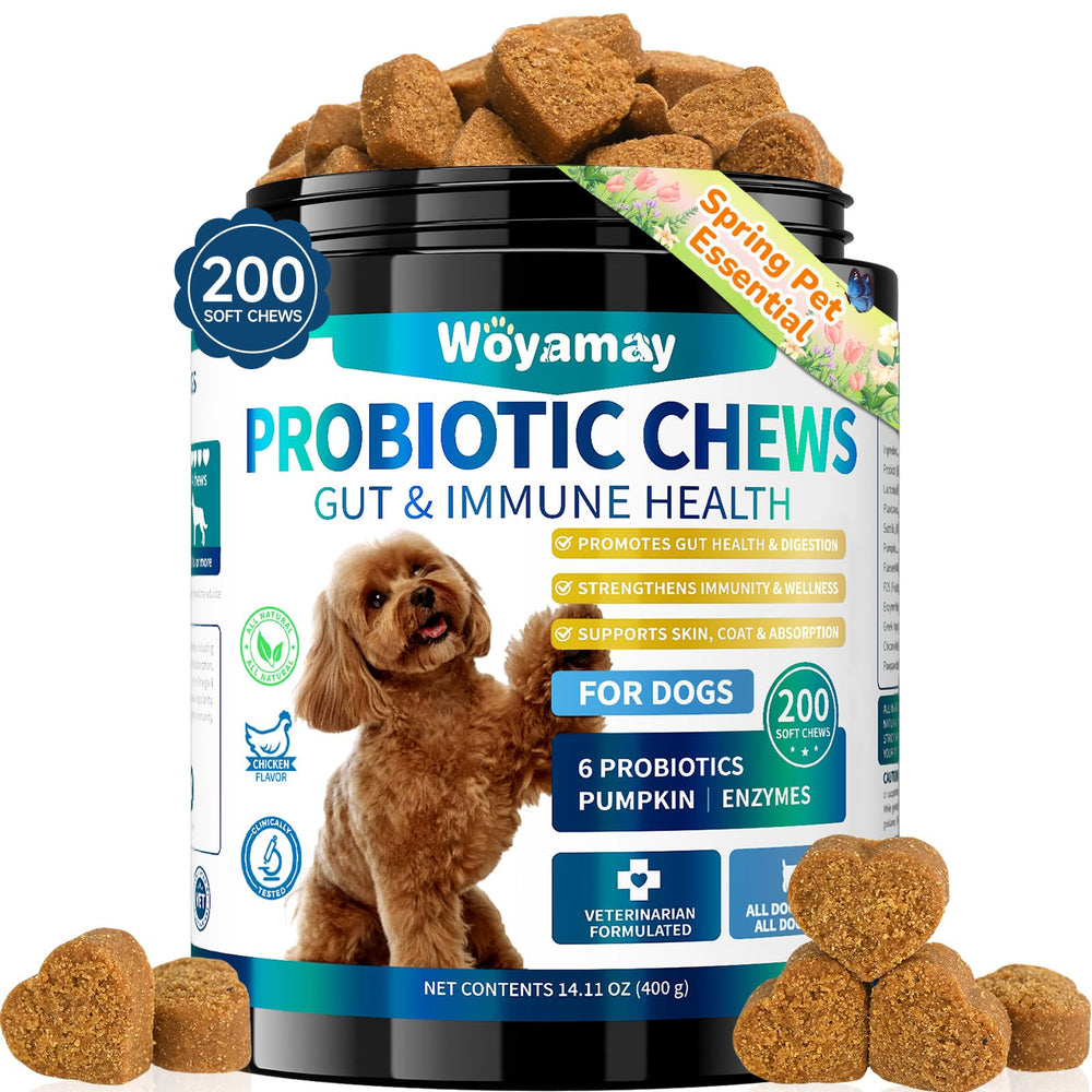 Woyamay Probiotiques chien, boîte 200 gommes, soutien digestif potentiel.