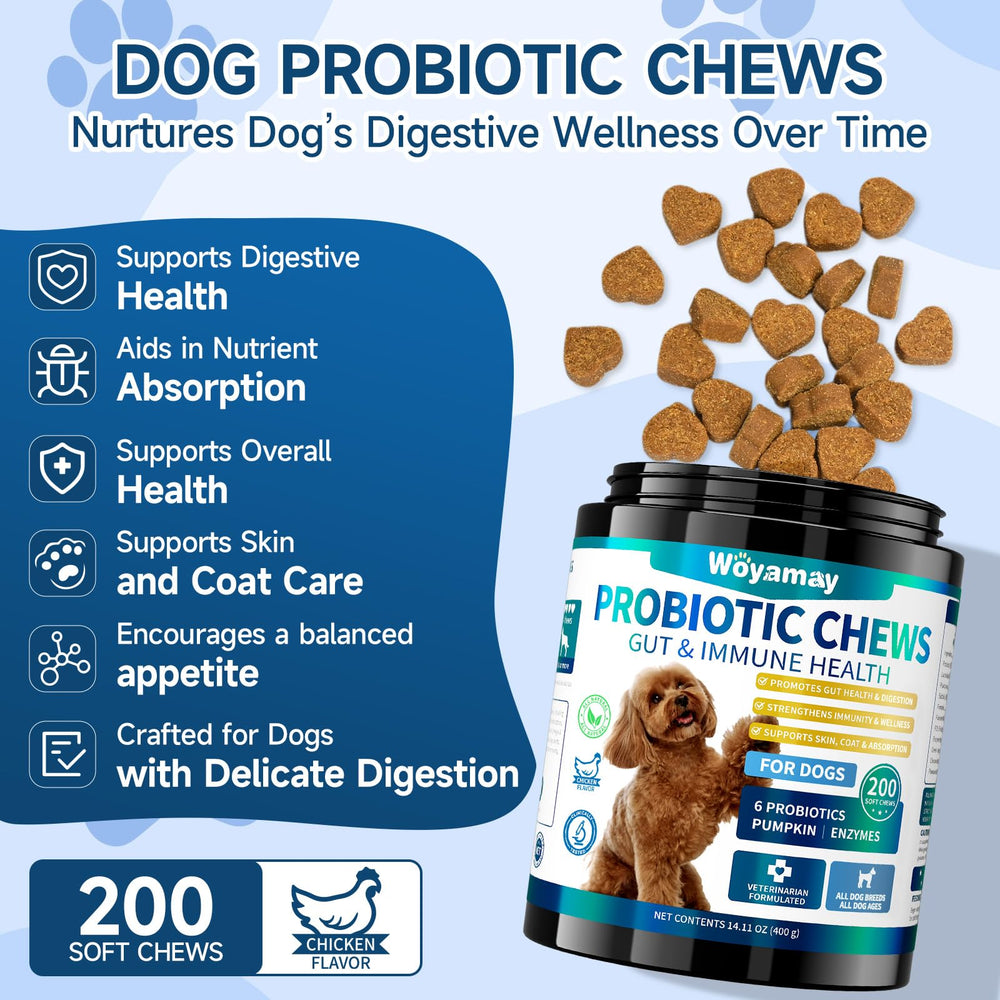 Gommes probiotiques Woyamay chien saveur poulet, goût apprécié.