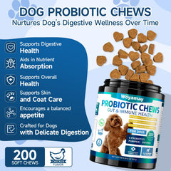 Gommes probiotiques Woyamay chien saveur poulet, goût apprécié.