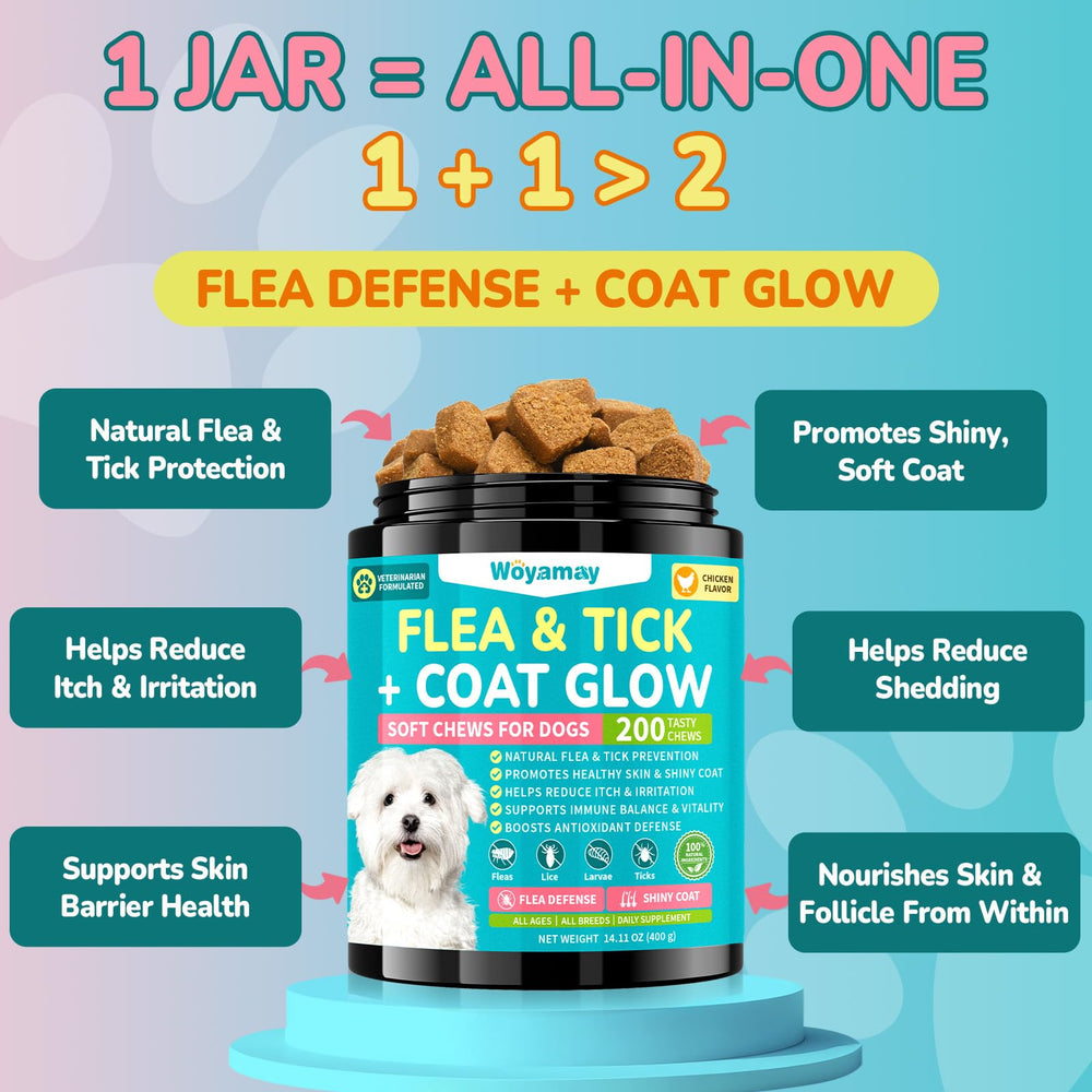 Woyamay protection puces et tiques pour chiens, usage quotidien.