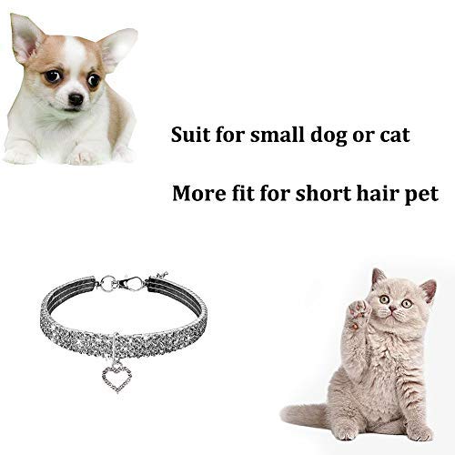 WoYous collier chat petit strass ensemble, idéal pour chats et petits chiens.