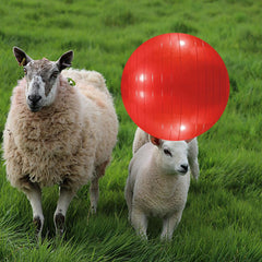 WoYous pompe d’inflation incluse, inflation rapide et pratique.