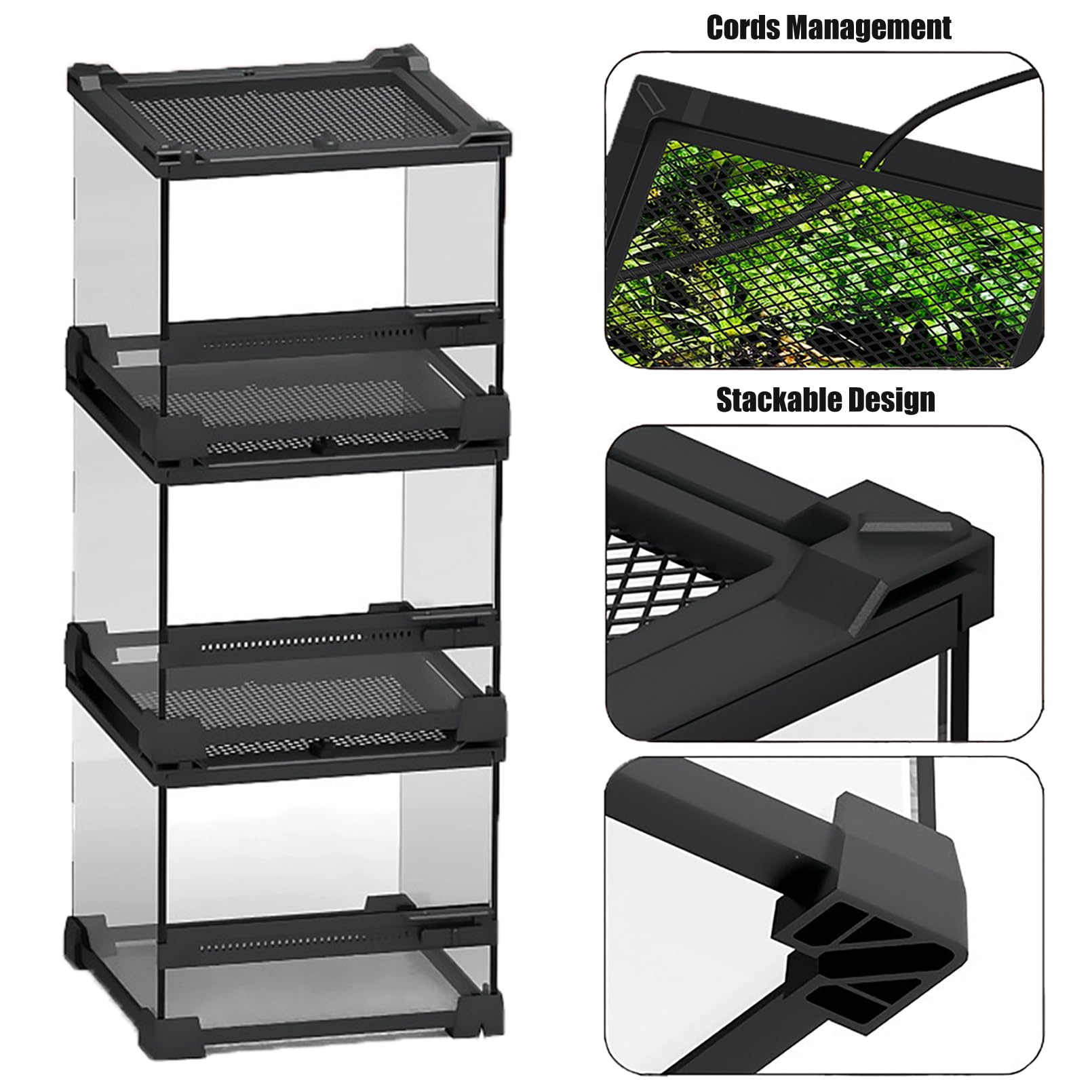 Terrarium Woyrise en verre 8x8x5, base surélevée adaptée au tapis chauffant.