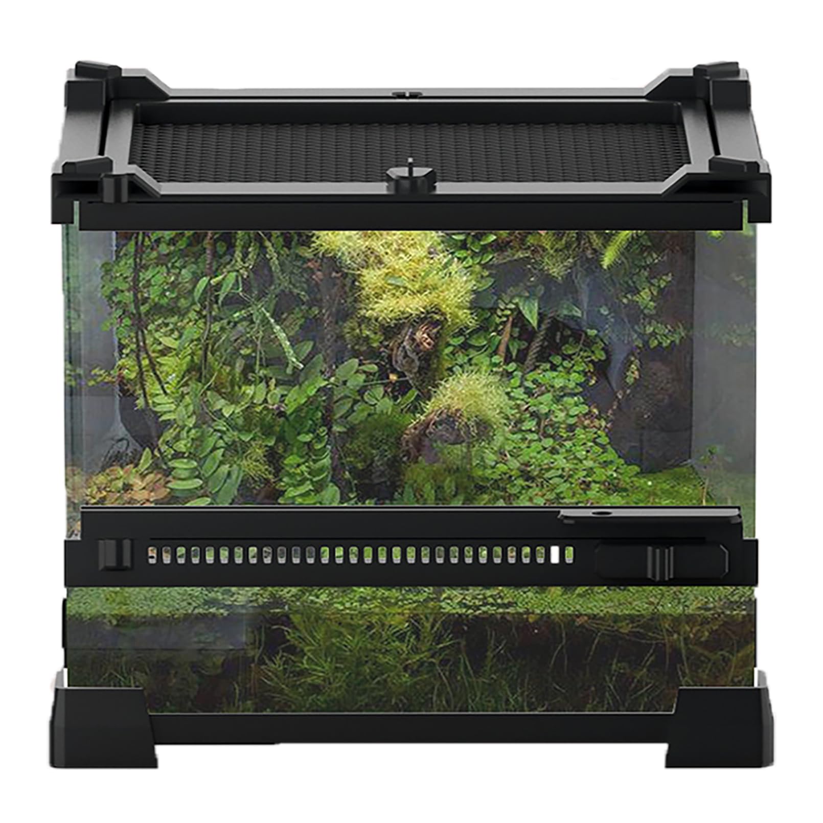 Terrarium Woyrise en verre 8x8x5, emboîtement et boucles pour empilement sûr.