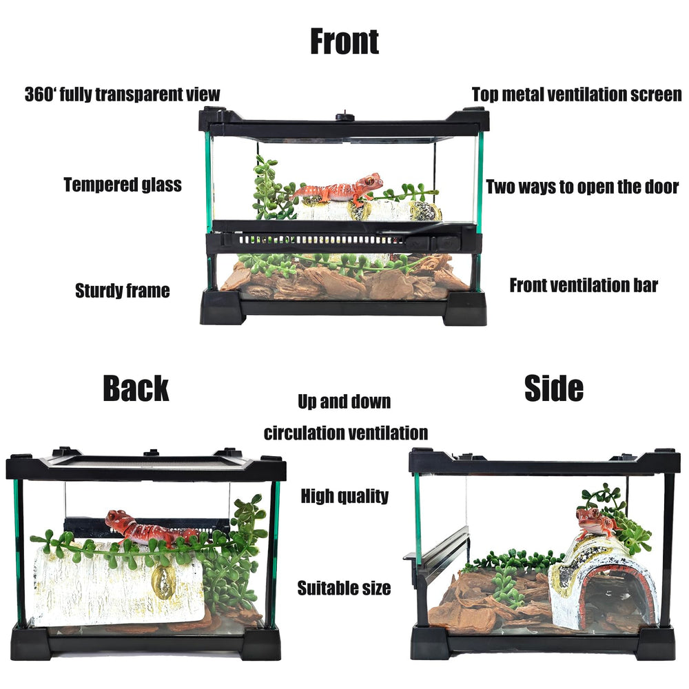 Terrarium Woyrise en verre 8x8x5, fond étanche de 2 pouces pour protection et facilité d'entretien.