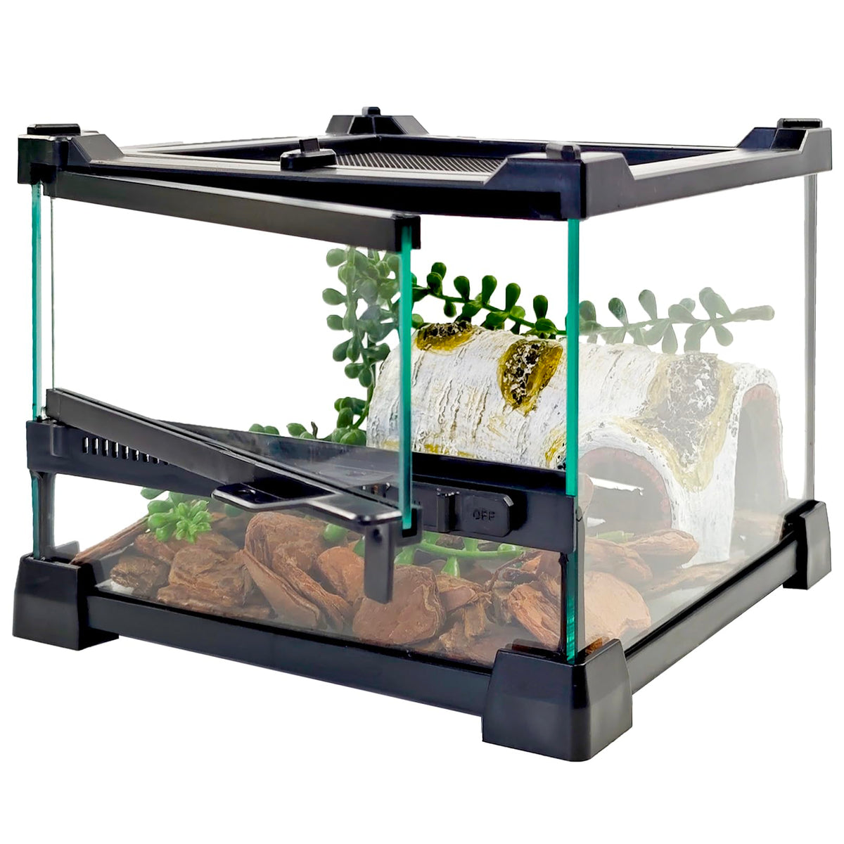Terrarium Woyrise en verre 8x8x5, ouverture frontale et supérieure, vue claire.