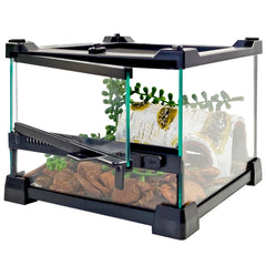 Terrarium Woyrise en verre 8x8x5, ouverture frontale et supérieure, vue claire.