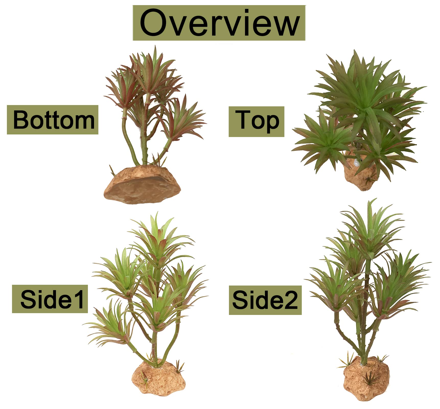 Woyrise Tillandsia : élément déco réaliste qui enrichit le terrarium.