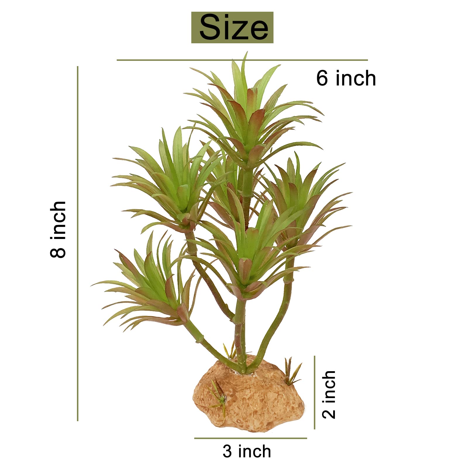 Woyrise Tillandsia : vue d'ensemble du décor végétal.