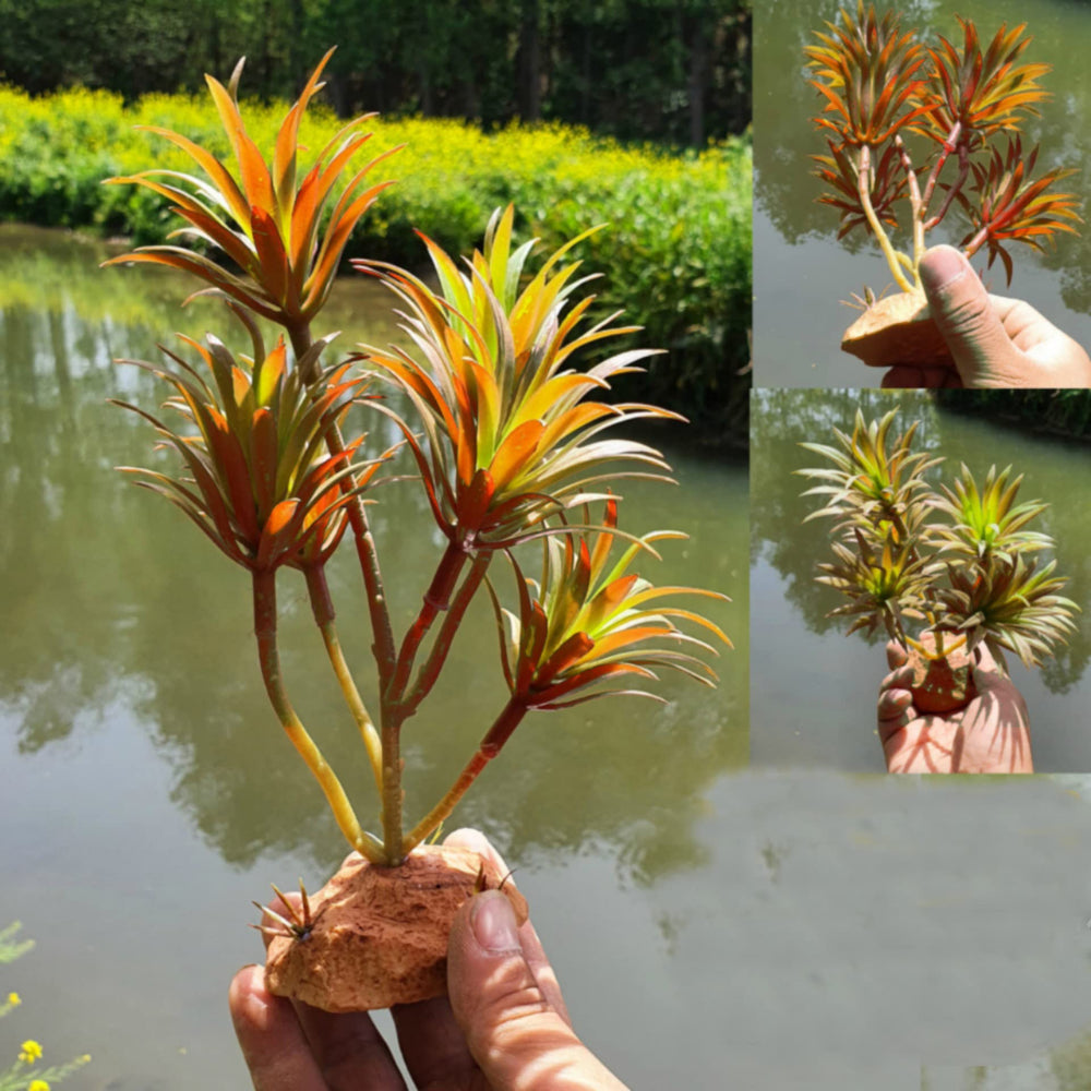 Woyrise Tillandsia : branche flexible pour ajuster le décor.