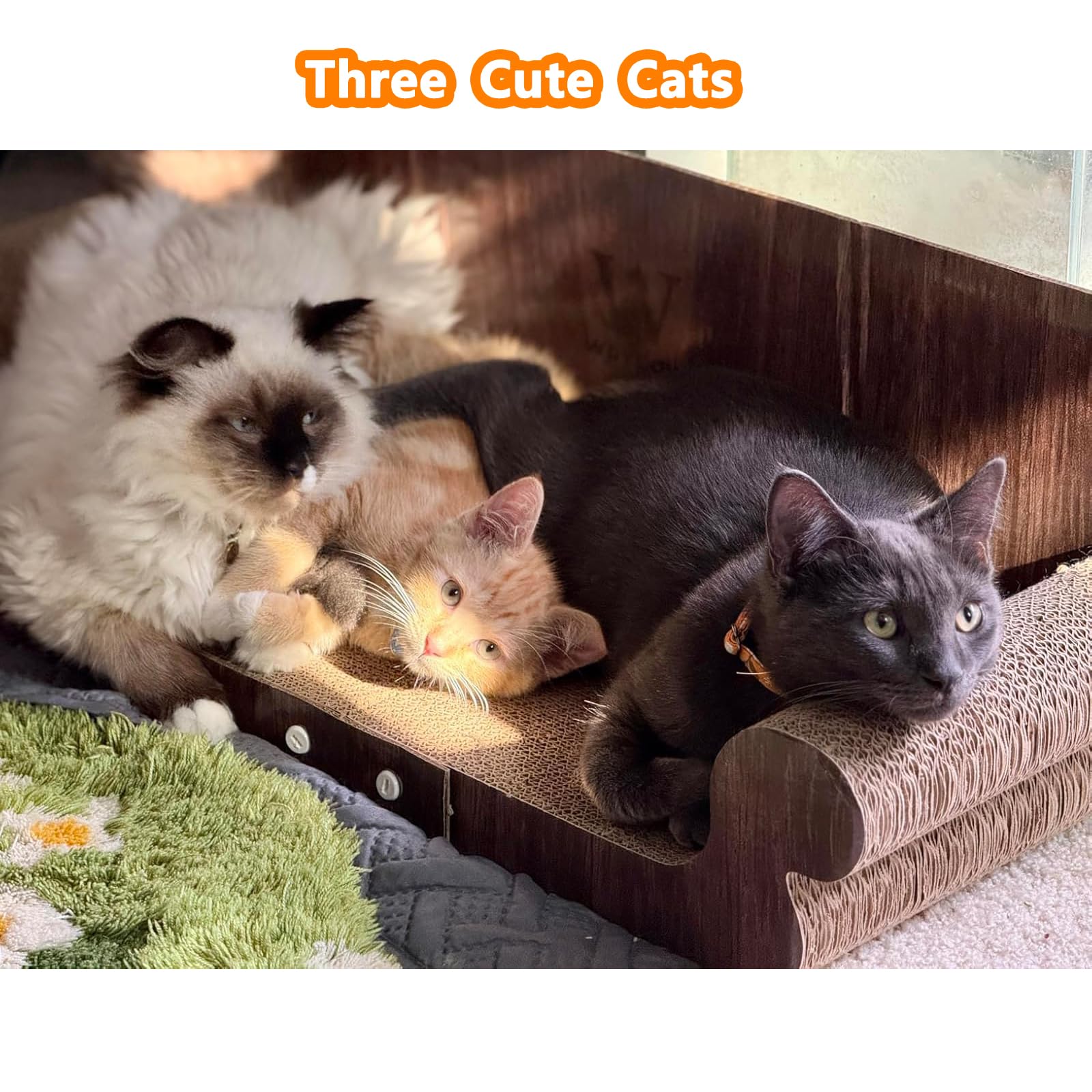 wpvpaw grattoir-chat-canape-carton-durable: surface résistante pour griffage et détente.