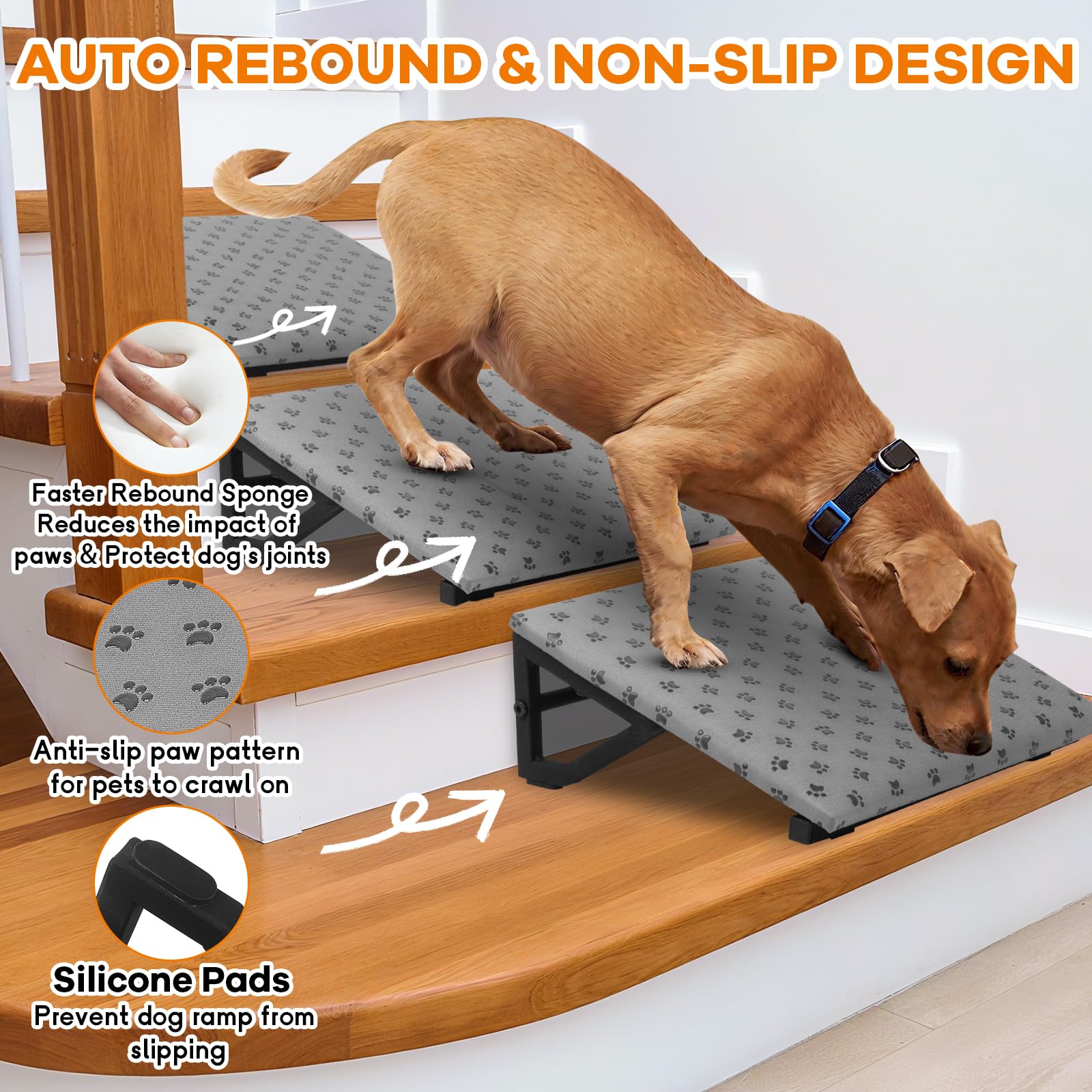 Inclinaison douce de 26° favorise l’accès des petits chiens.