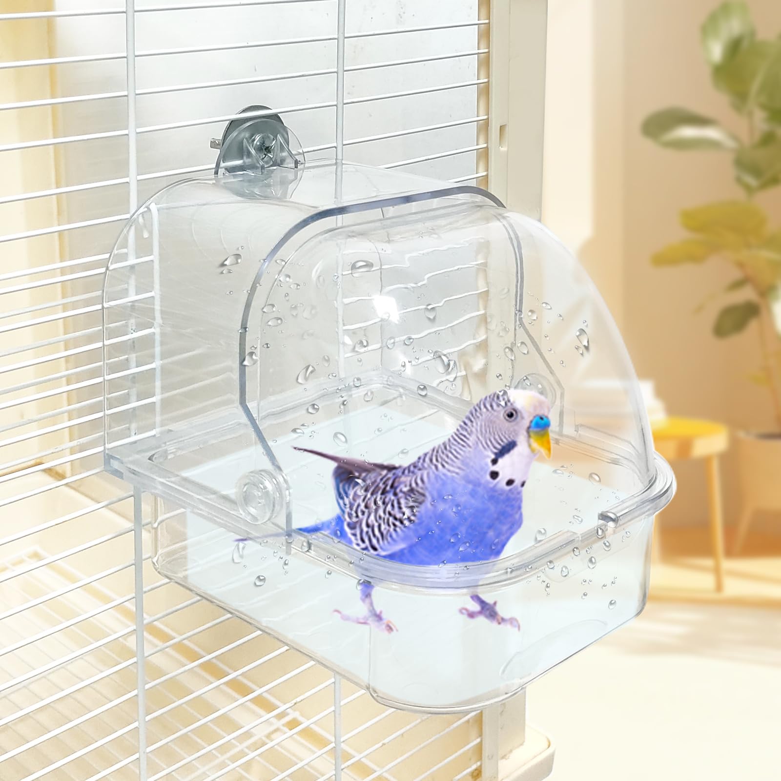 Bain pour oiseau WQY GroceryShop transparent pour bains et surveillance des plumes