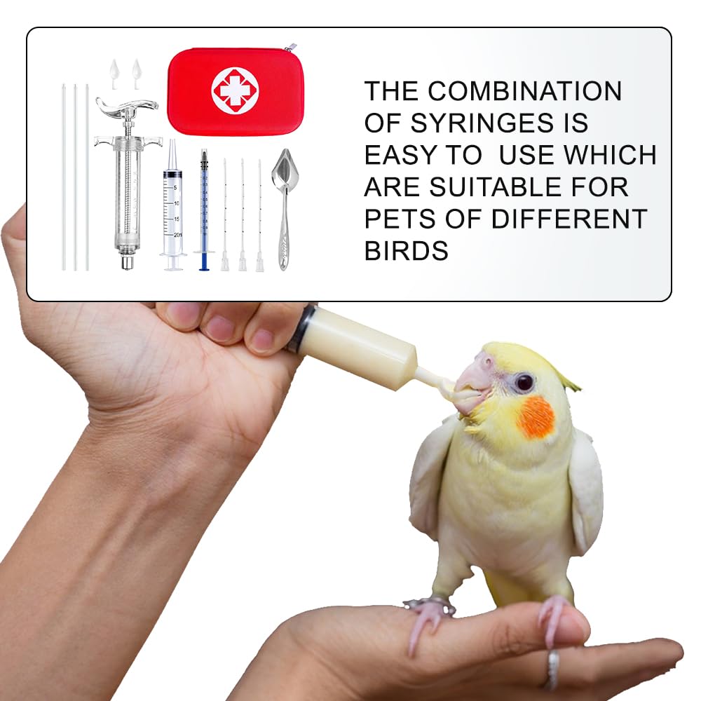 Cuillère plastique connectée à la seringue, accessoire polyvalent WQY.