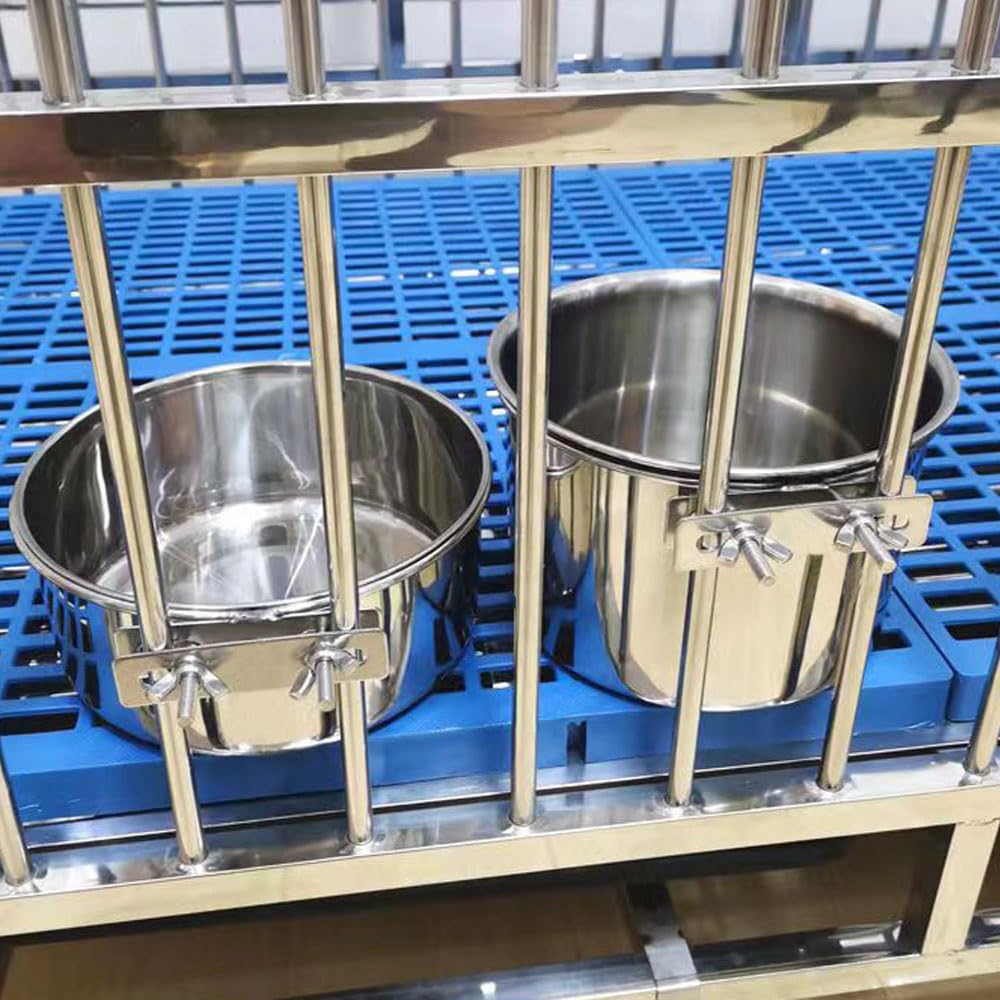 Wrifazaly bol nourriture inox petit, hygiène et praticité au quotidien.