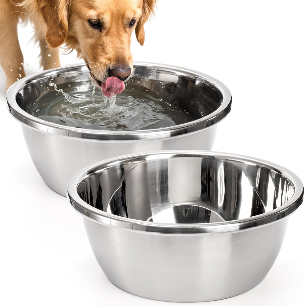 WRINGKIT bol-chien-xl capacite 24 tasses, parfait pour hydratation et repas