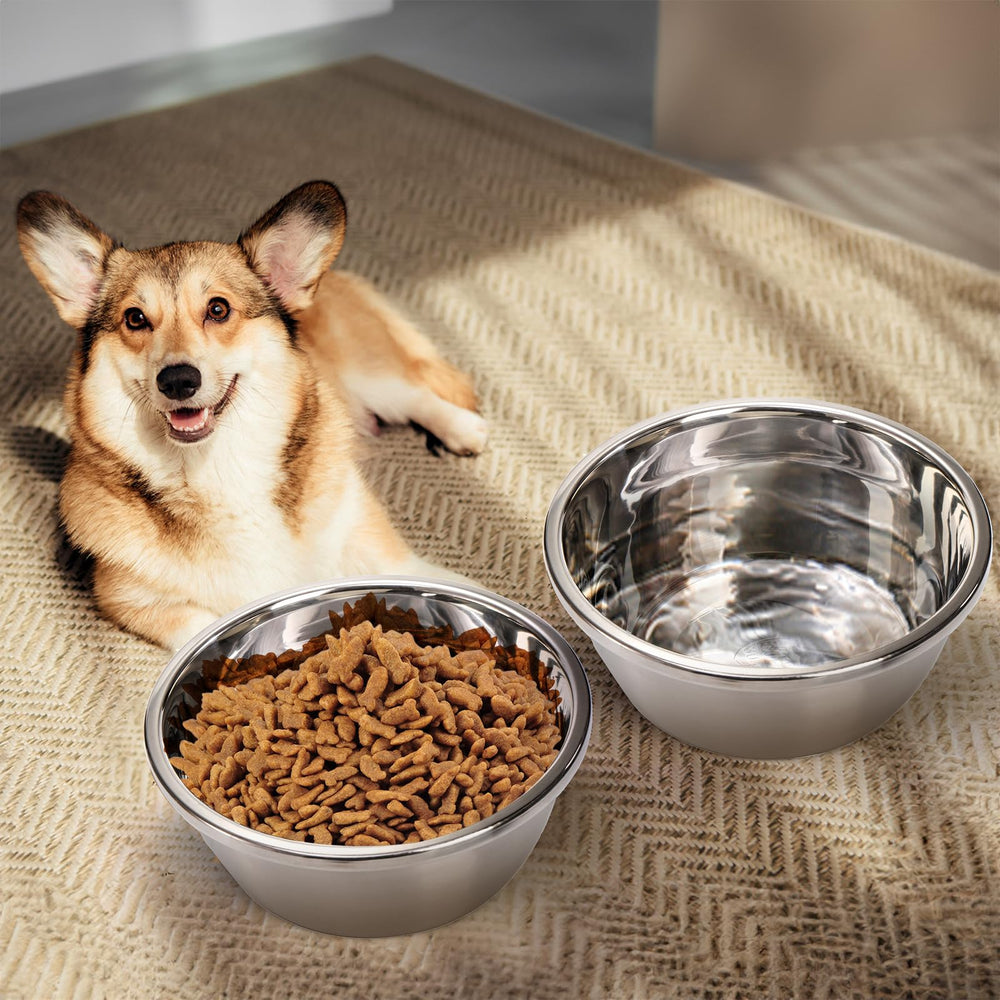 WRINGKIT bol-chien-xl-lave-vaisselle, nettoyage rapide et sans effort