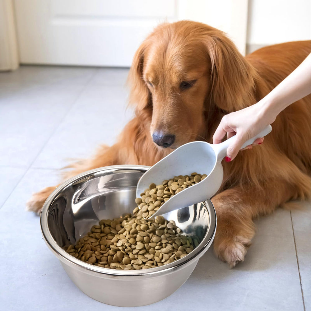 WRINGKIT bol-chien-xl-usage-groupes, idéal pour repas partagé entre plusieurs chiens