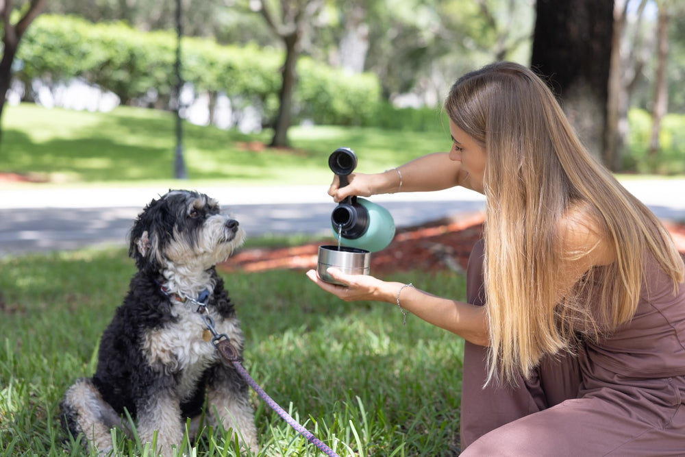 Portabilité WRTZ, légère et pratique pour randonnées avec chien.