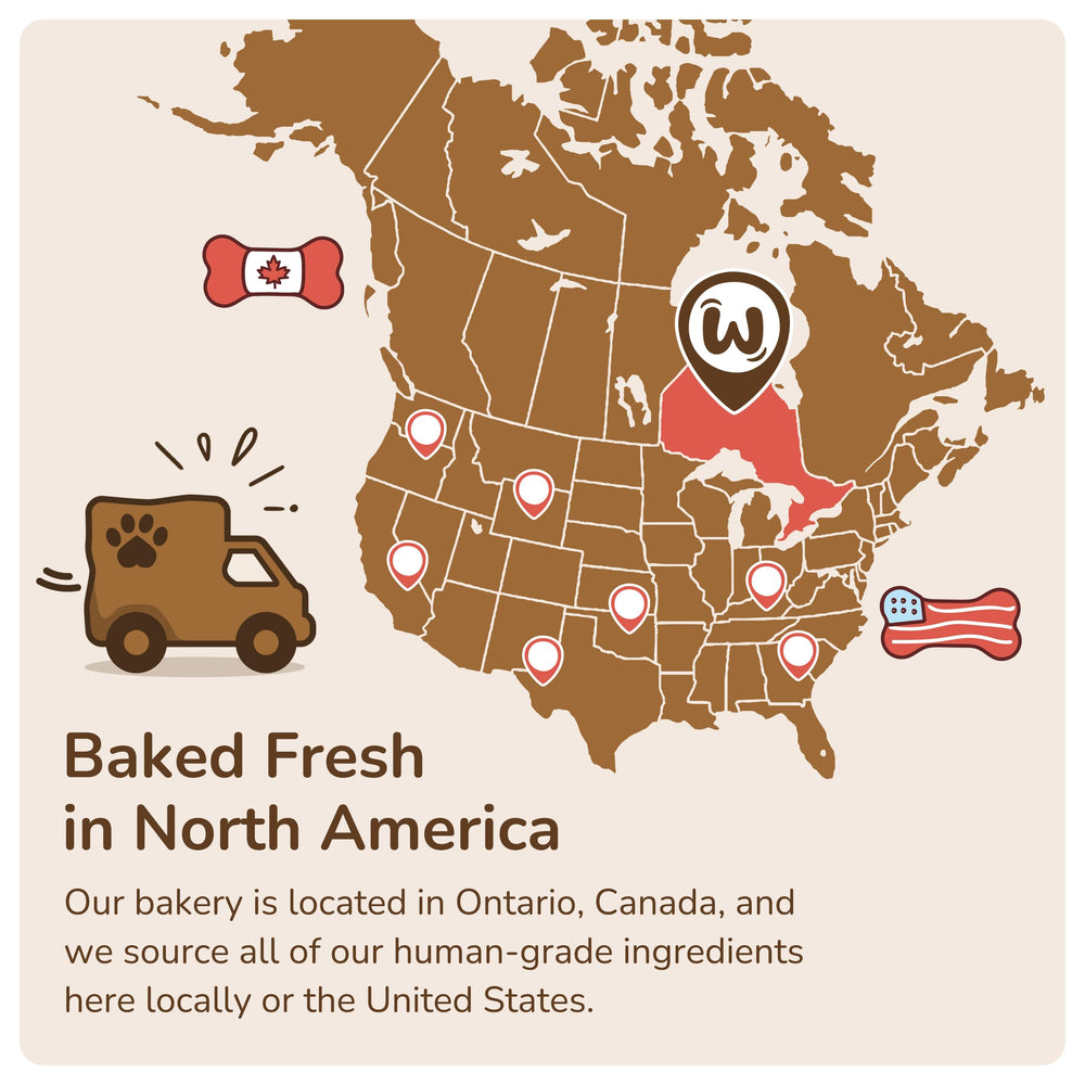 24 mois de fraîcheur et conservation optimale des biscuits.