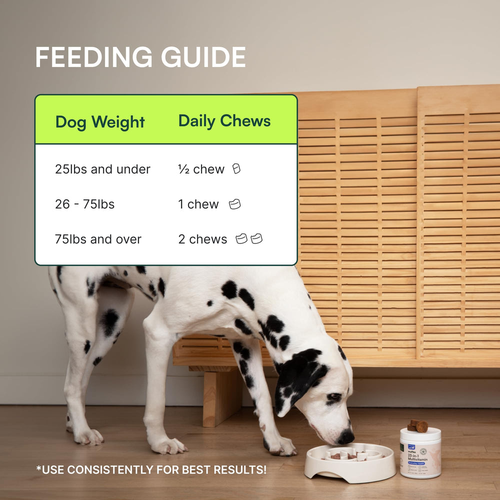 Ingrédients humains et durables dans Wuffes pour le bien-être animal.