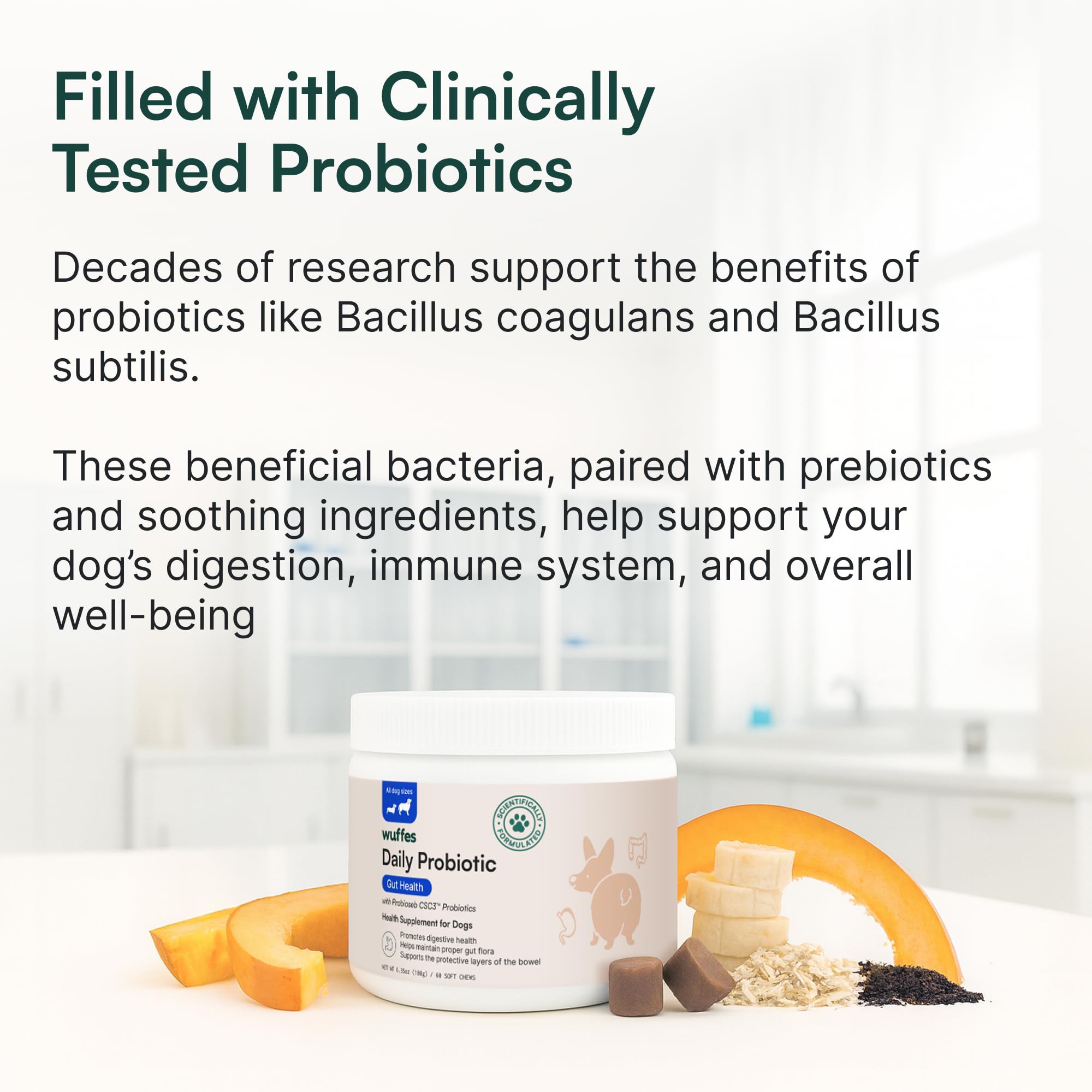 Wuffes Daily Probiotic: chien mangeant une friandise, goût apprécié et facile à donner.