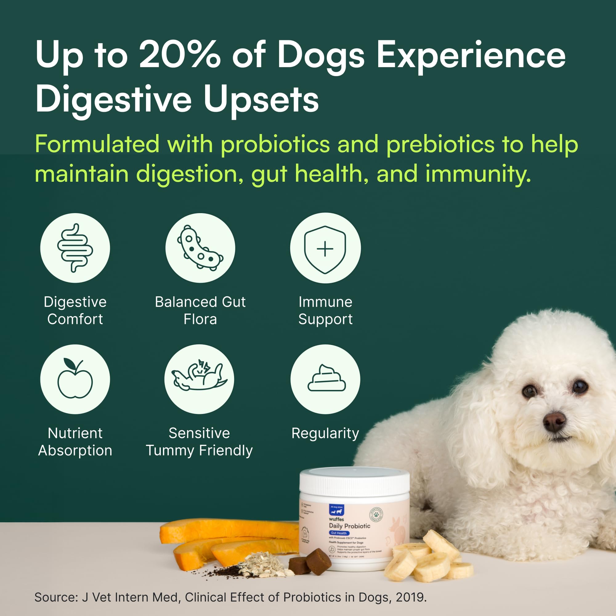 Wuffes Daily Probiotic: poudre de citrouille naturellement fibreuse et nutritionnelle.