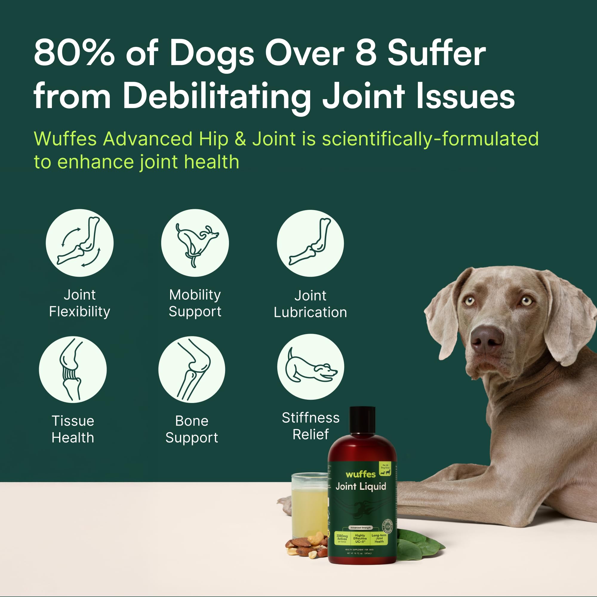 Utilisation canine Wuffes – chien utilisant le produit lors des repas