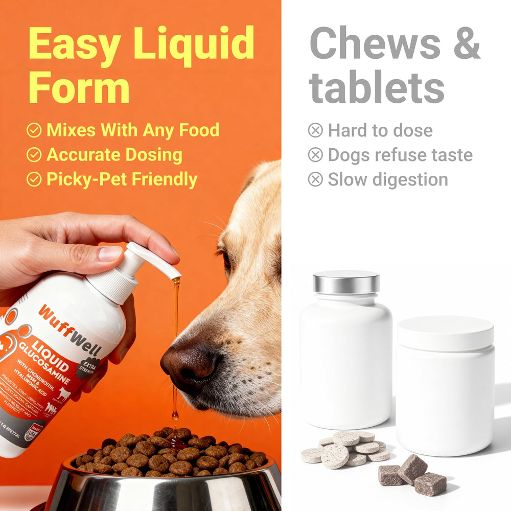 Bouteille durable avec pompe facilitant le dosage pour tous les chiens.