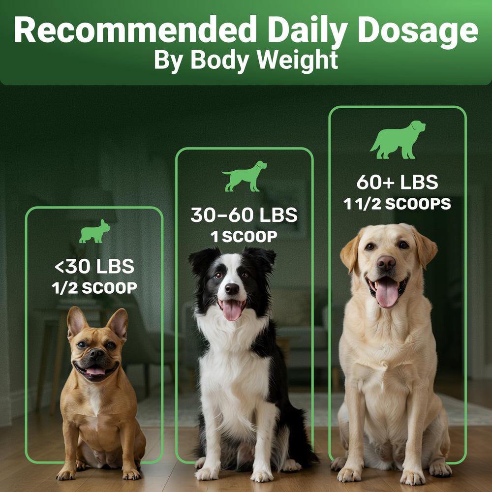 WuffWell cuillere-doseur: dose précise et pratique.