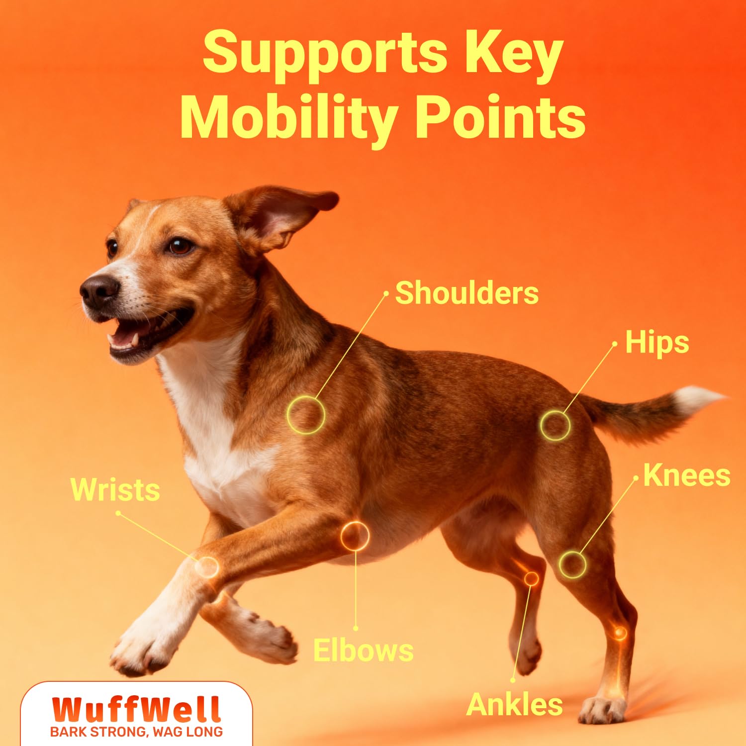 Dosage ajustable selon la taille du chien pour un usage simple.