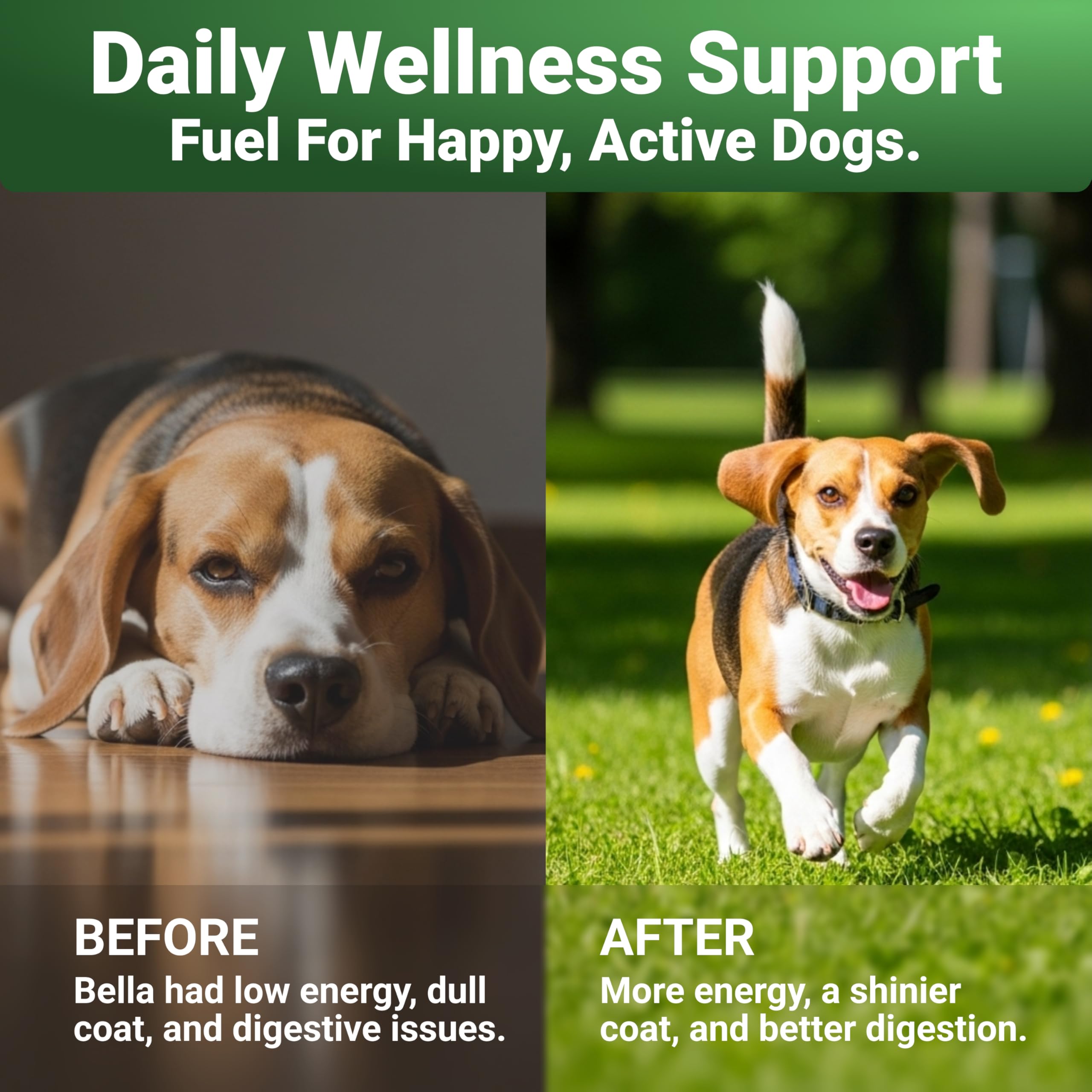 WuffWell glucosamine: soutien des articulations pour une mobilité fluide.