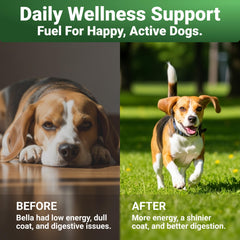 WuffWell glucosamine: soutien des articulations pour une mobilité fluide.