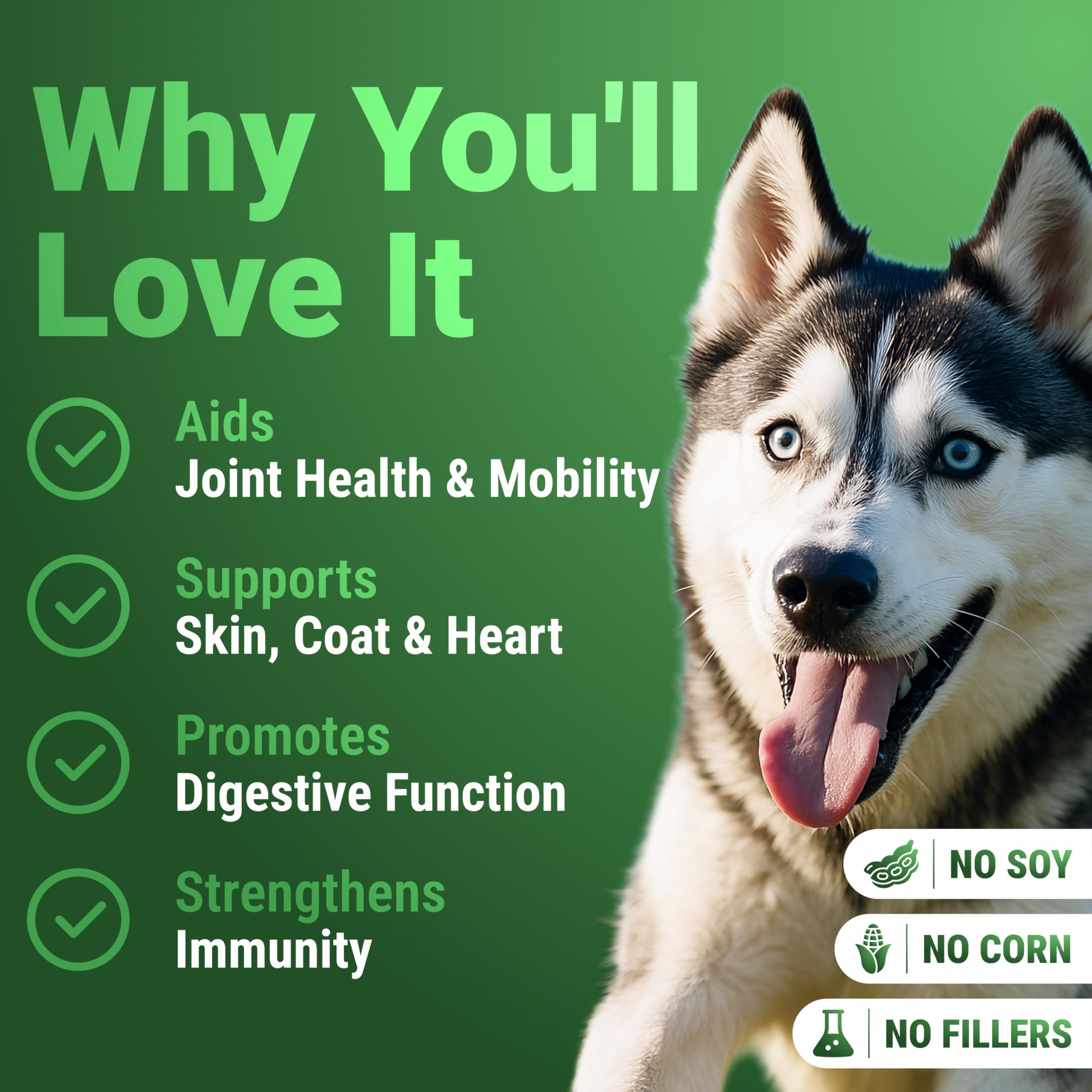 WuffWell Super Greens: moringa pour des nutriments essentiels du pelage.