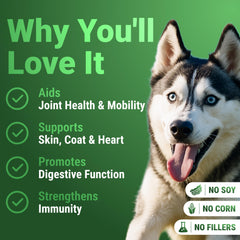 WuffWell Super Greens: moringa pour des nutriments essentiels du pelage.
