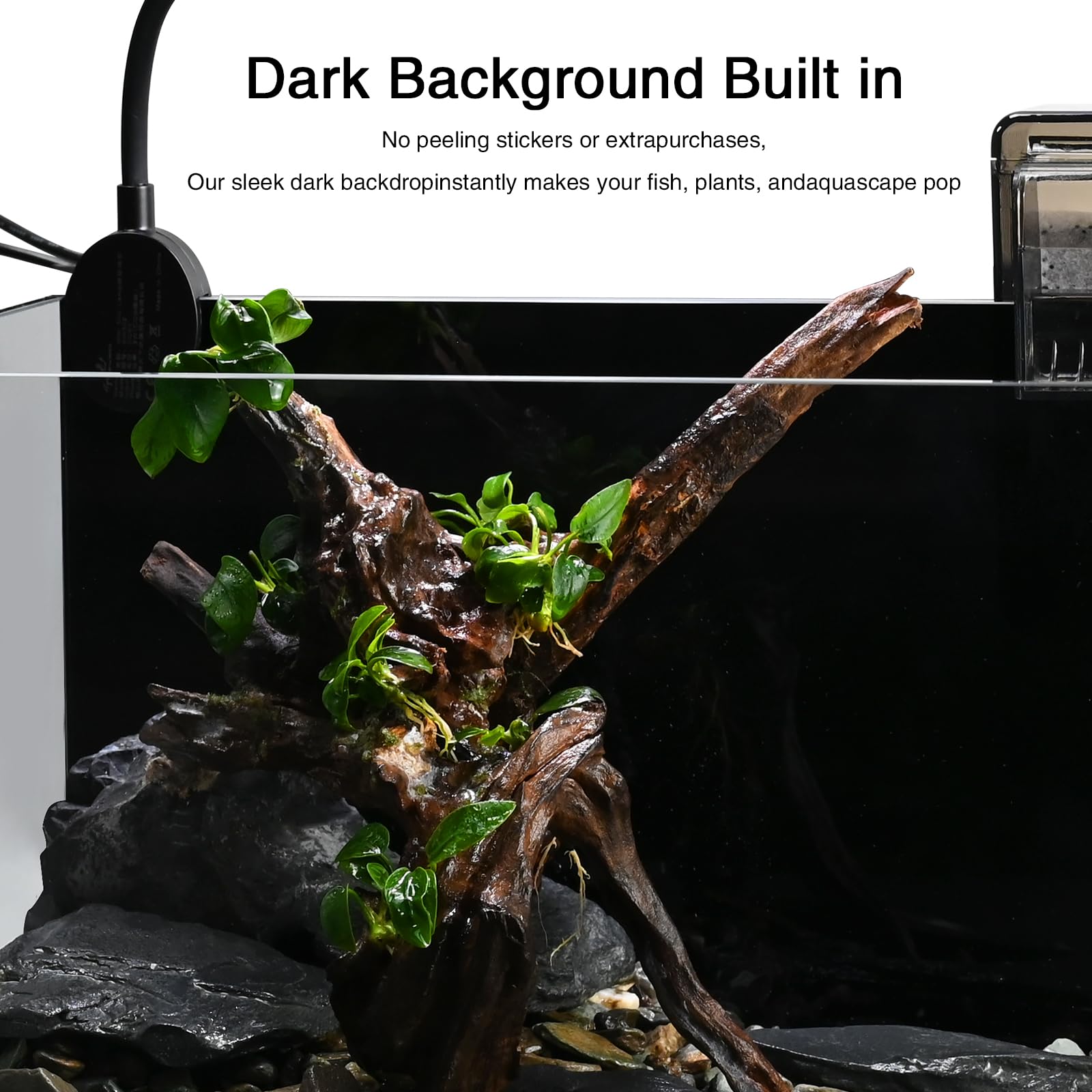 WURJHSONG Nano Nature – parfait pour crevettes et plantes aquatiques.