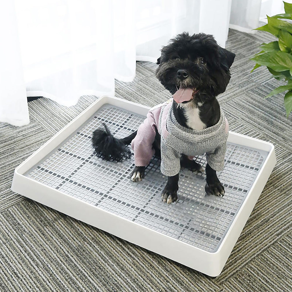 WUWEOT plastique robuste, litière durable adaptée pour lapins et animaux mini