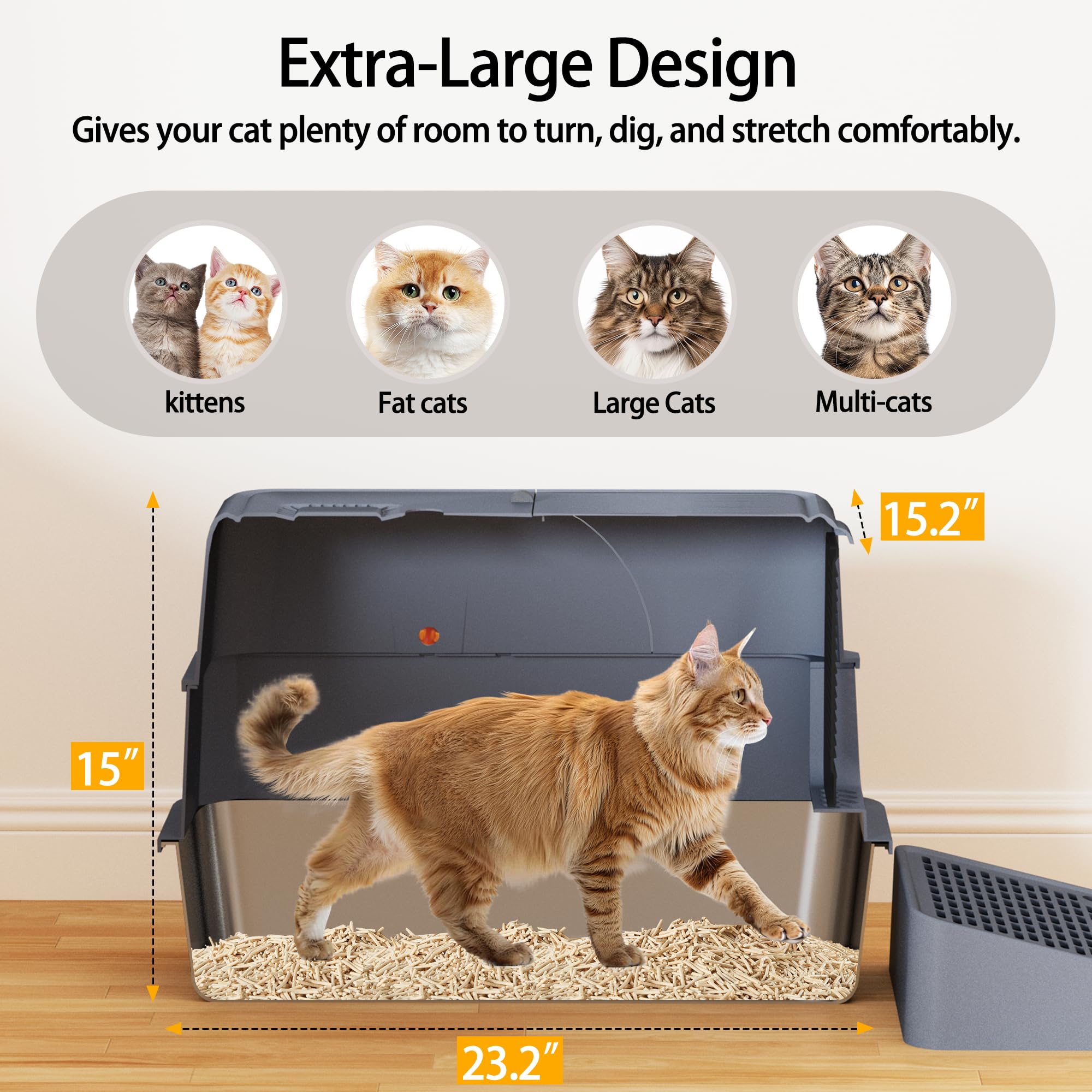 Wynsylis XL: intérieur spacieux adapté aux grands chats et multi-chats.