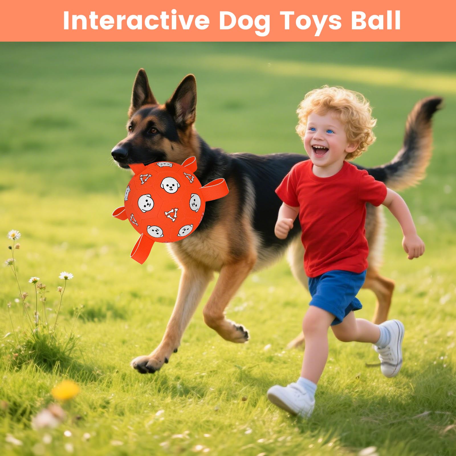 Cadeau Wyntrium parfait pour anniversaire de chien, jouet coloré et interactif.
