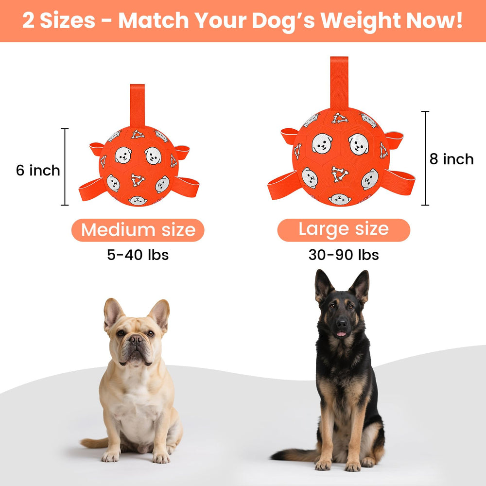 Balle Wyntrium pour chien avec imprimés chat et os, couleurs attrayantes.